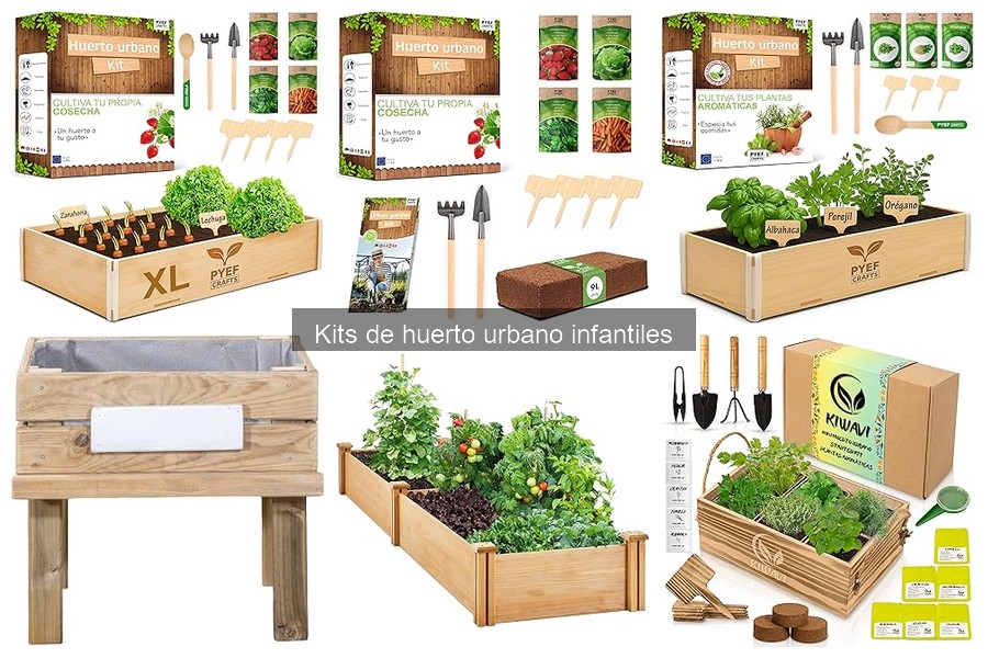 Actividades educativas con kits de huerto urbano para niños