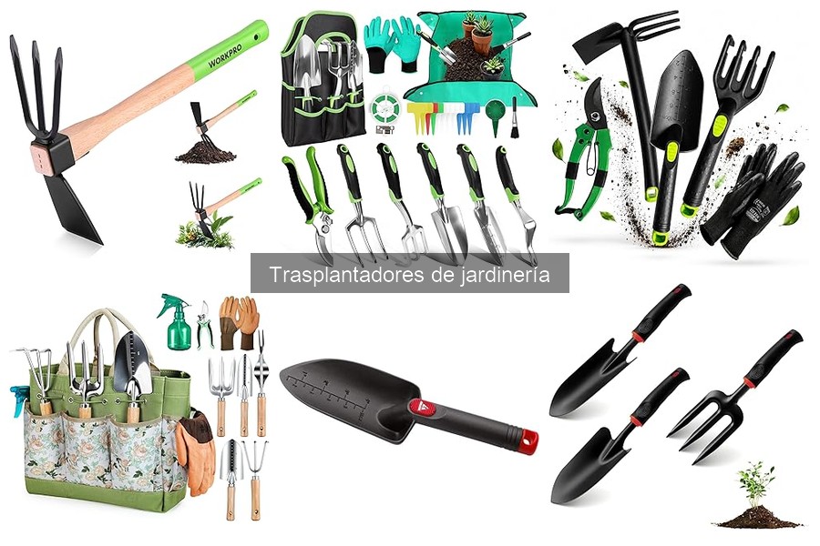 Ajusta la técnica de trasplante con un trasplantador