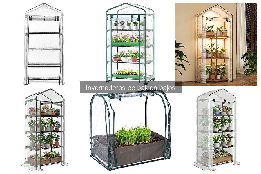 Alternativas a invernaderos de balcón bajos para cultivar