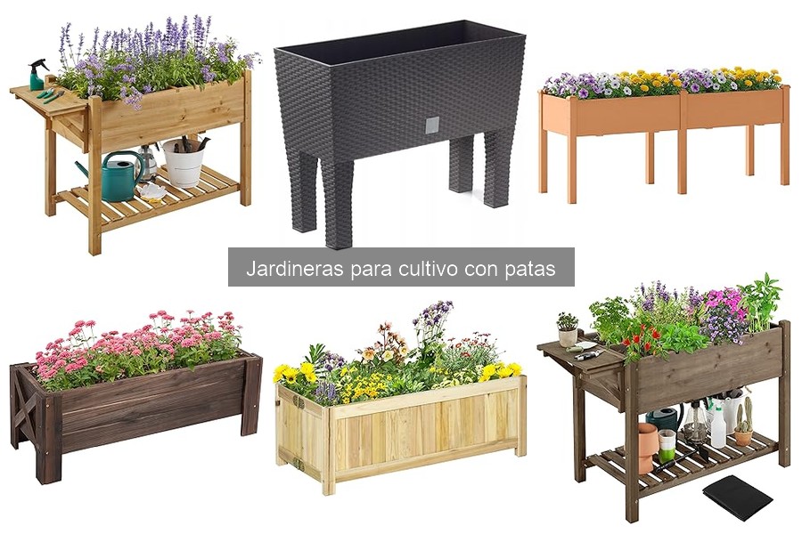 Alternativas a Jardineras con Patas para Cultivo en Casa