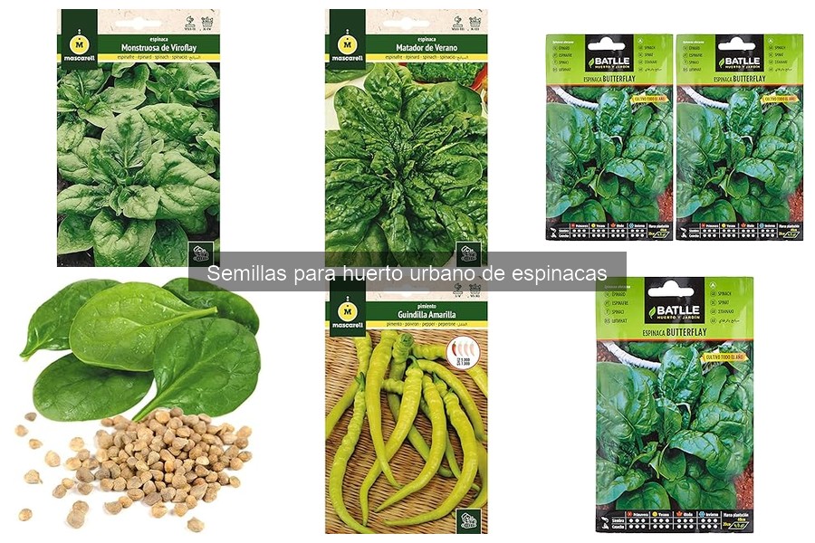 Alternativas a las semillas de espinacas para huertos urbanos