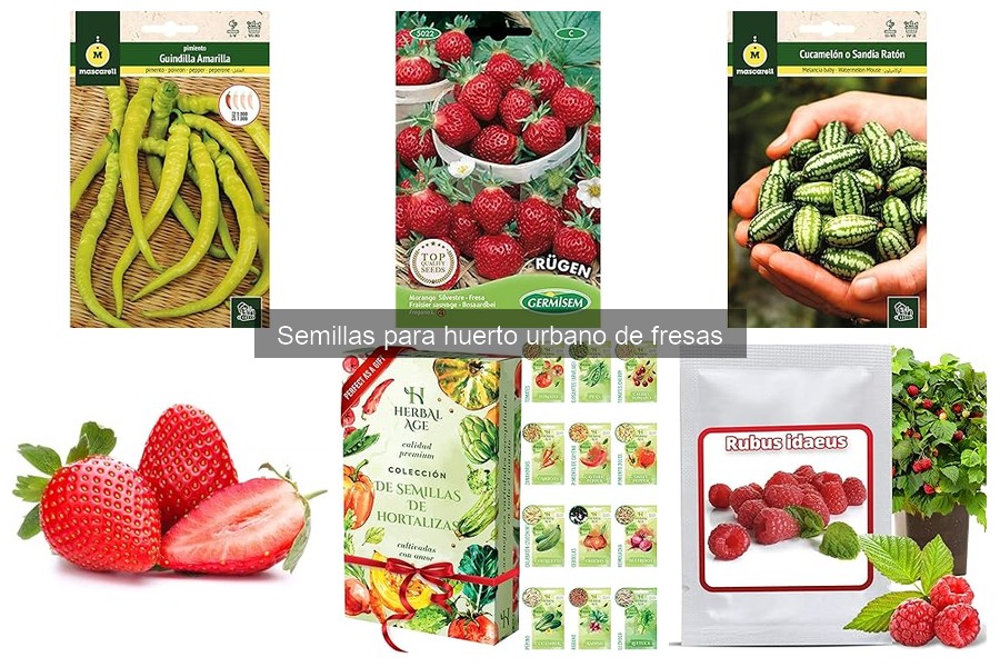 Alternativas a las semillas de fresa que no germinan