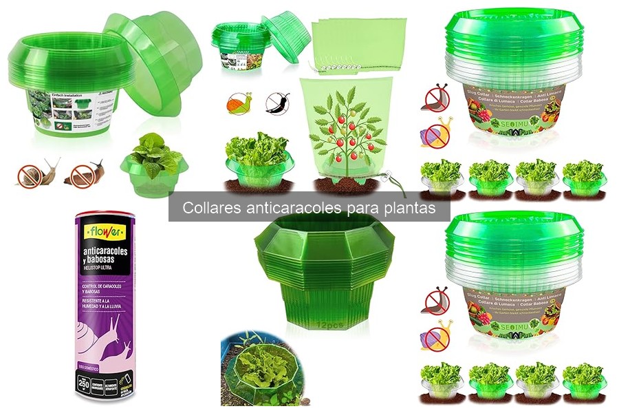 Alternativas a los collares anticaracoles para plantas