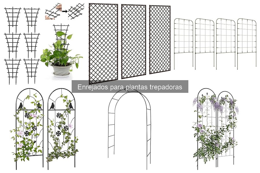 ** Alternativas a los enrejados para plantas trepadoras