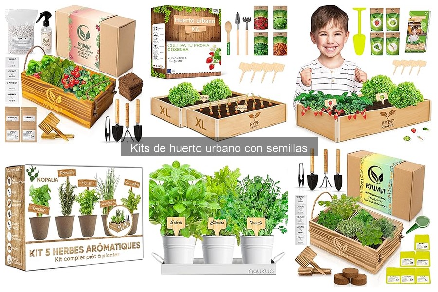 Alternativas a los Kits de Huerto Urbano para Cultivar en Casa