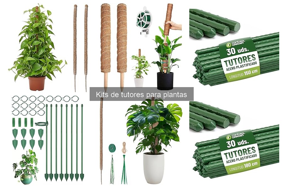 Alternativas a los Kits de Tutores para Plantas
