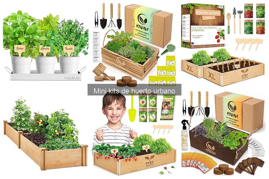 Alternativas a los mini kits de huerto urbano en casa
