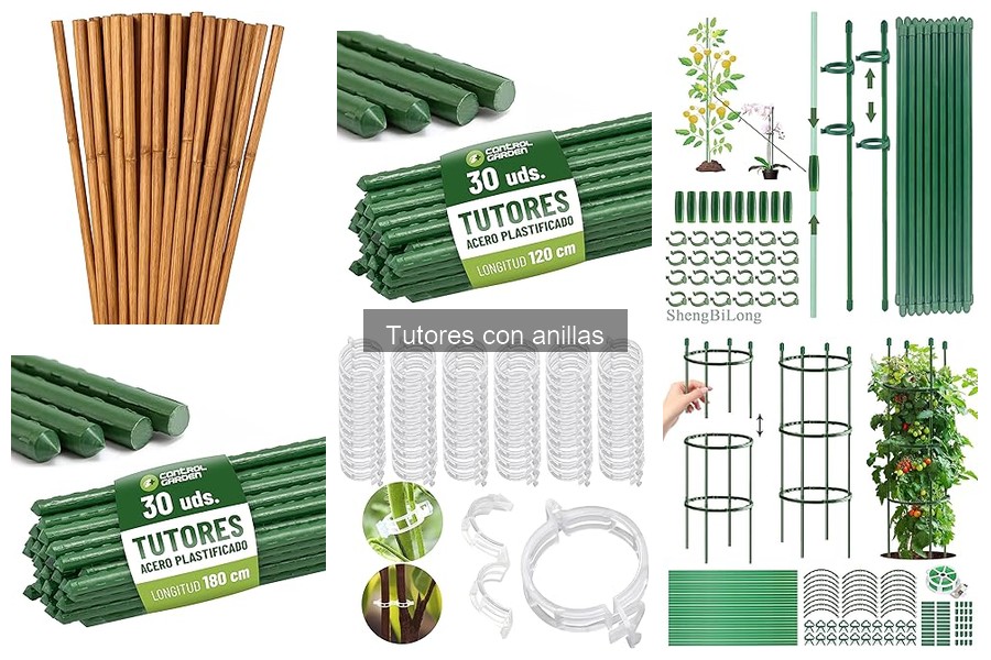 Alternativas a los Tutores con Anillas para Cultivo en Casa