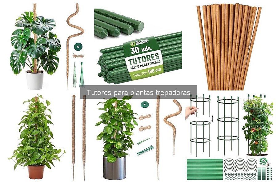 Alternativas a los tutores para plantas trepadoras