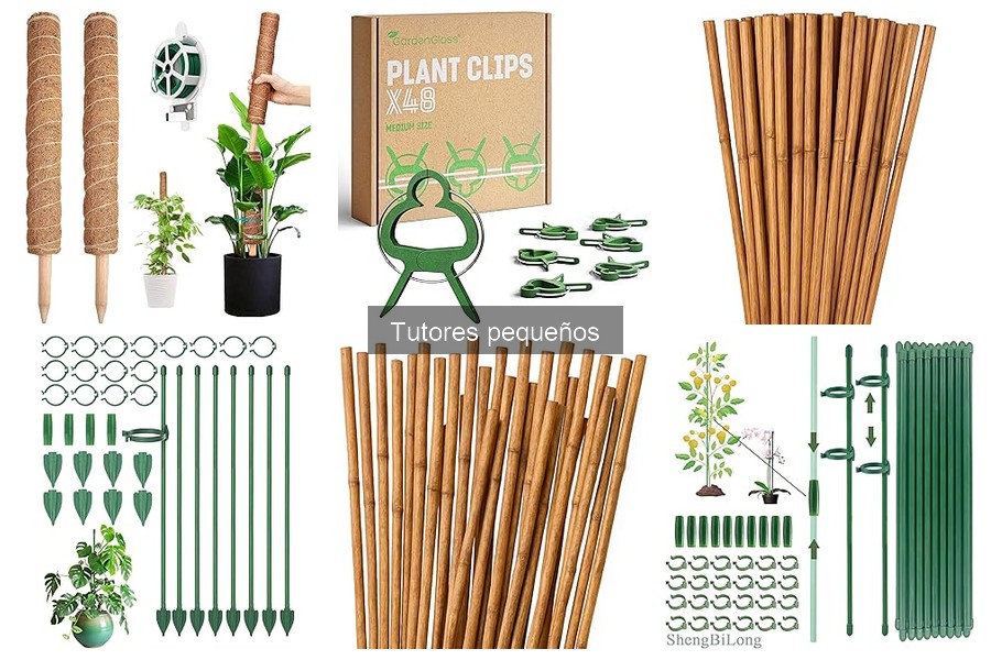 Alternativas a los Tutores Pequeños para Cultivo de Plantas