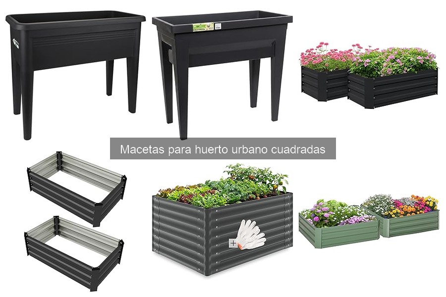 Alternativas a macetas cuadradas para tu huerto urbano