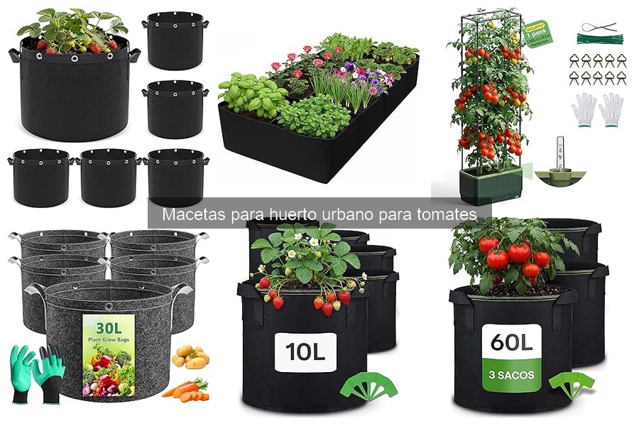 Alternativas a macetas para cultivar tomates en casa