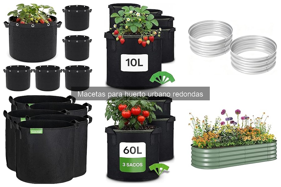 Alternativas a macetas redondas para cultivo en casa