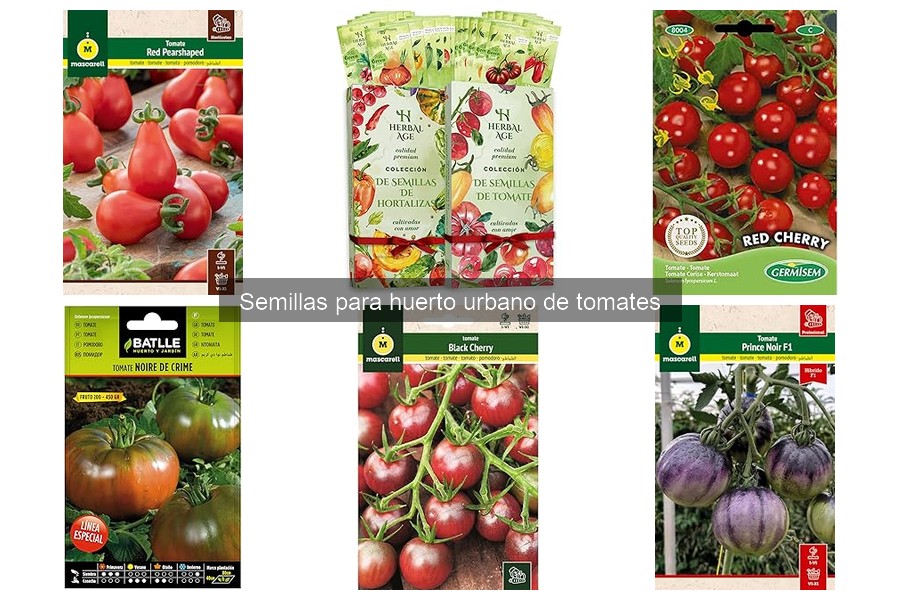 Alternativas a semillas de tomate: plantas ya crecidas