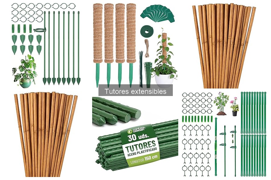 Alternativas a tutores extensibles para tus plantas