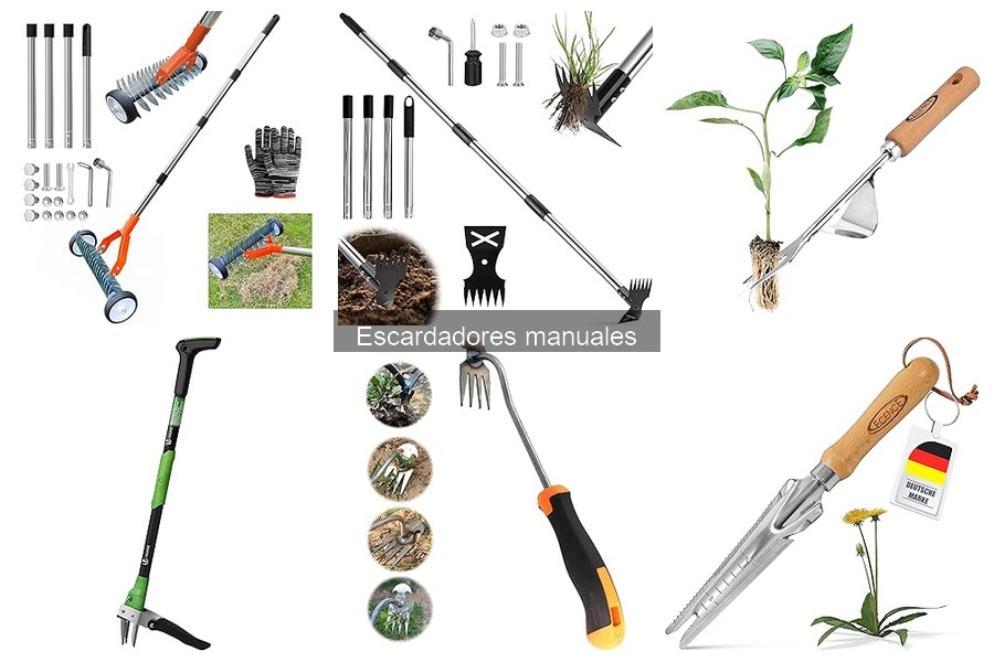 Alternativas al escardador manual para deshierbe en huertos