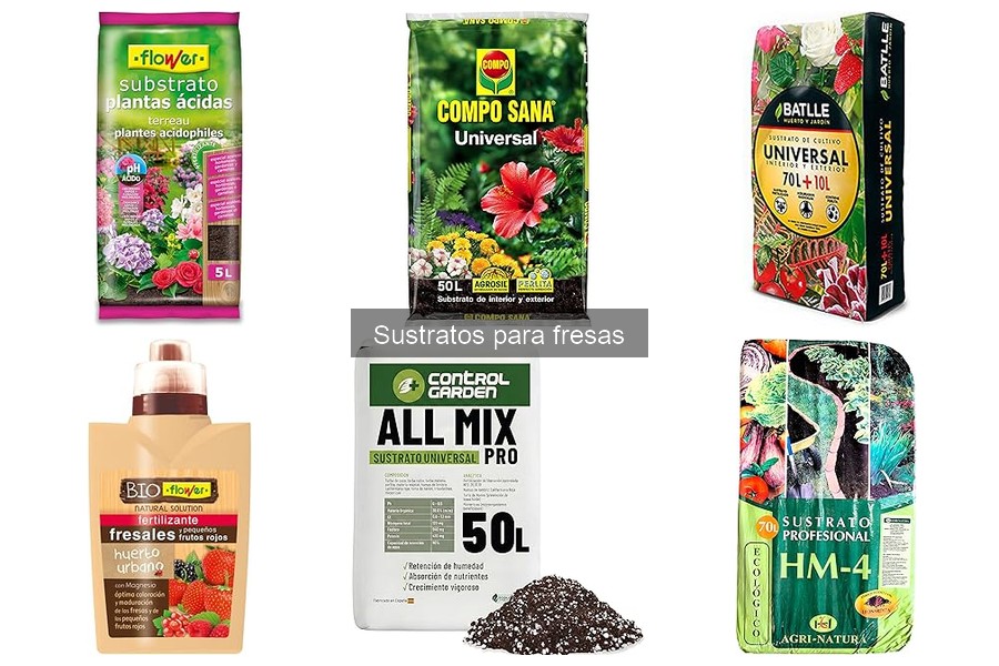 Alternativas Caseras a Sustratos Comerciales para Fresas