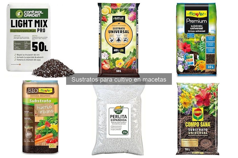 Alternativas Ecológicas a Sustratos Comerciales para Macetas