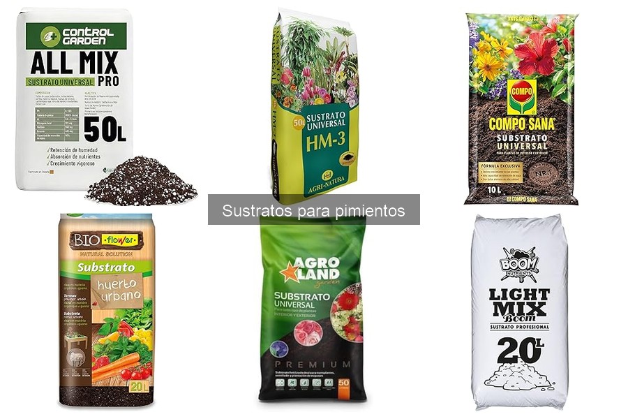 Alternativas ecológicas a sustratos comerciales para pimientos