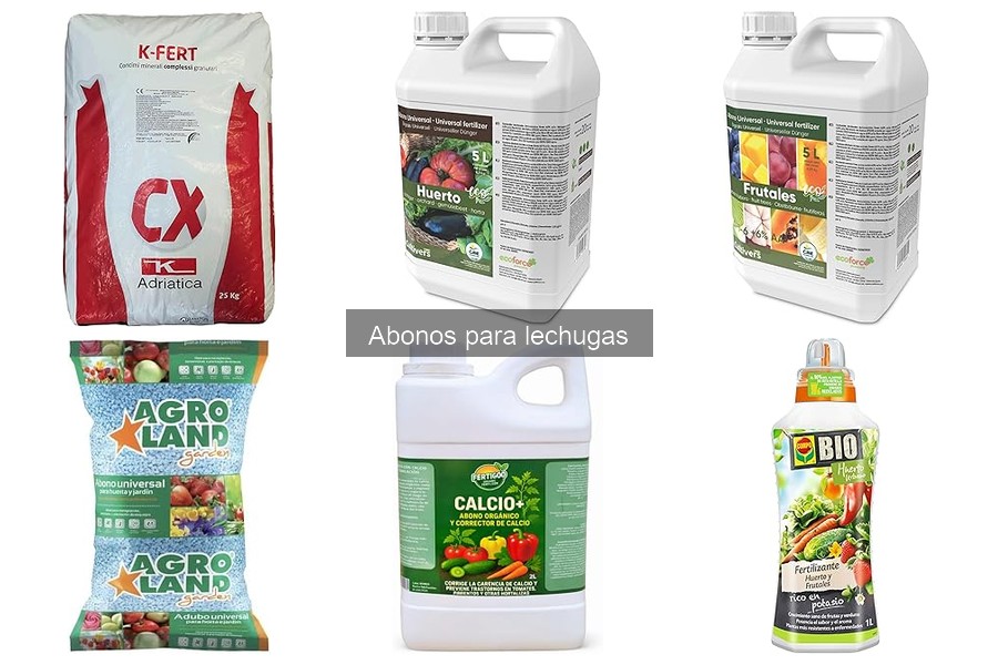 Alternativas Ecológicas al Abono Convencional para Lechugas