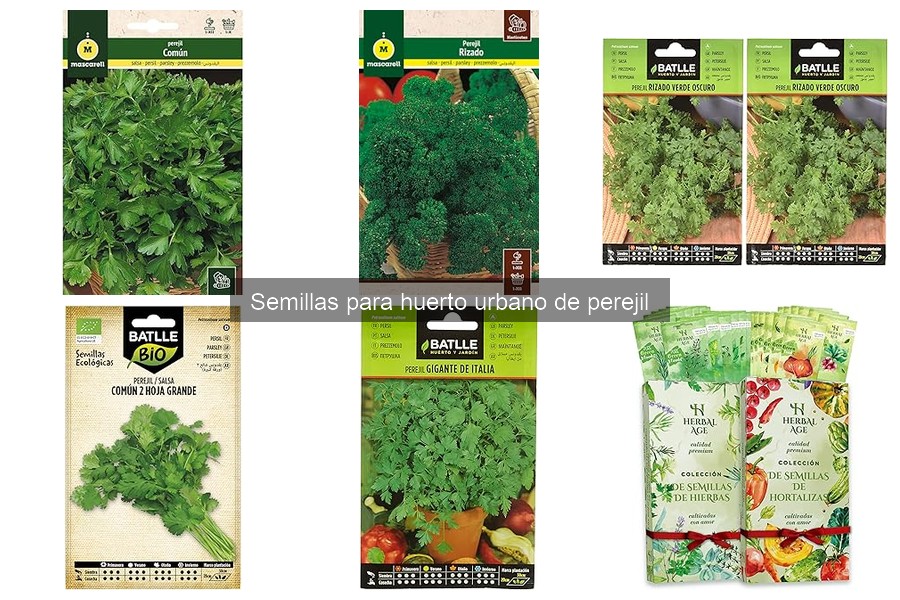 Alternativas efectivas a las semillas de perejil que no crecen