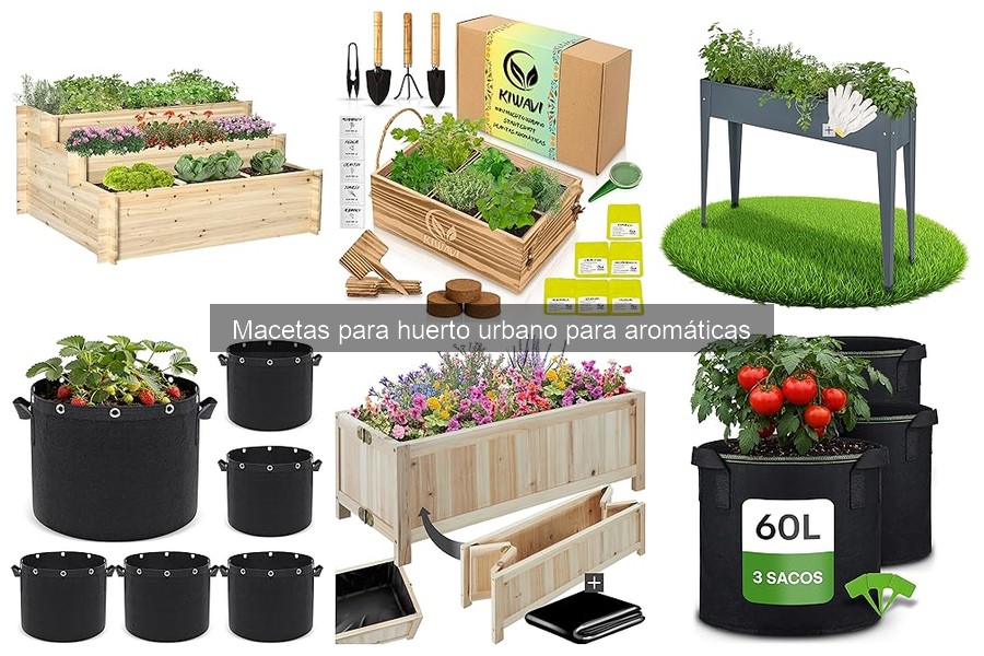 ** Alternativas innovadoras a macetas para aromáticas