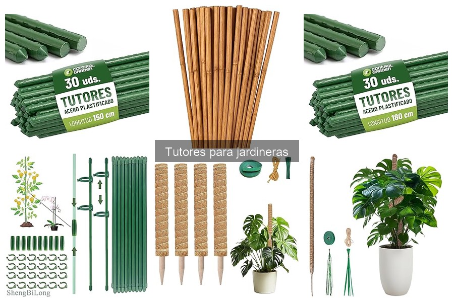 Alternativas innovadoras a tutores para jardineras