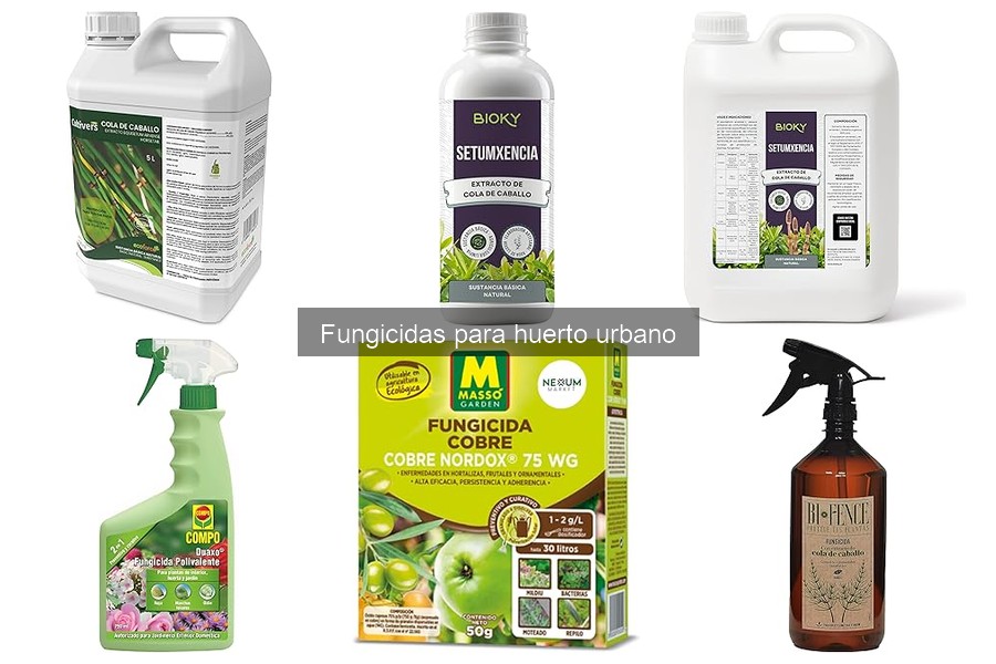 Alternativas Naturales a Fungicidas Químicos para Huerto Urbano