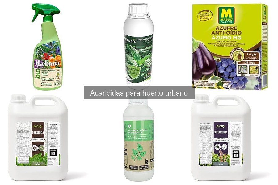 Alternativas Naturales a los Acaricidas para tu Huerto Urbano