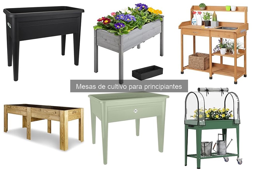Beneficios de Cultivar en Mesas Elevadas para Principiantes