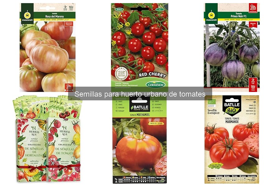 Beneficios de cultivar tomates en casa: frescura y salud
