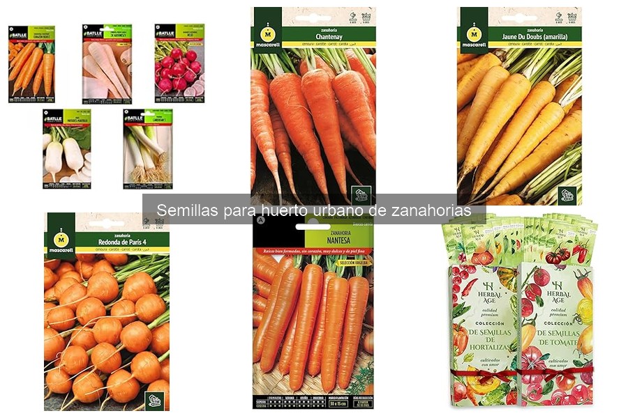 Beneficios de cultivar zanahorias en tu huerto urbano