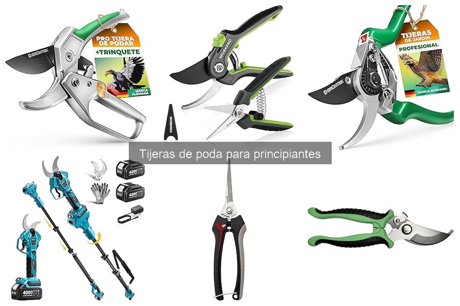 Beneficios de la poda en jardinería para un jardín saludable