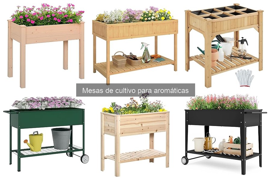 Beneficios de las mesas de cultivo elevadas para aromáticas