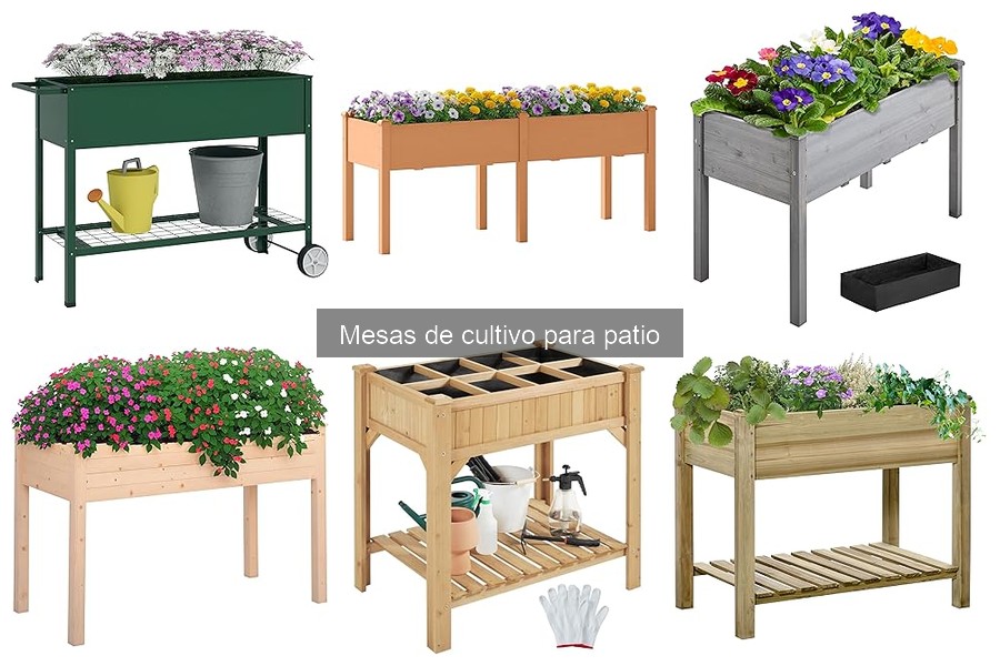 Beneficios de las mesas de cultivo para jardinería urbana