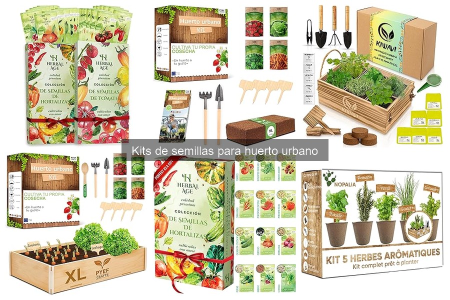 Beneficios de los kits de semillas para huerto urbano