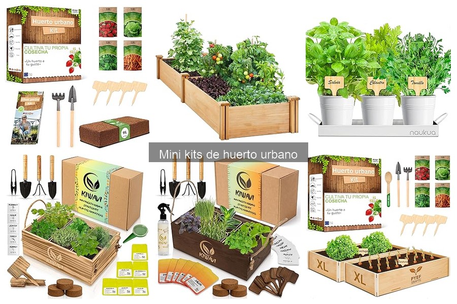Beneficios de los Mini Kits de Huerto Urbano para Sostenibilidad