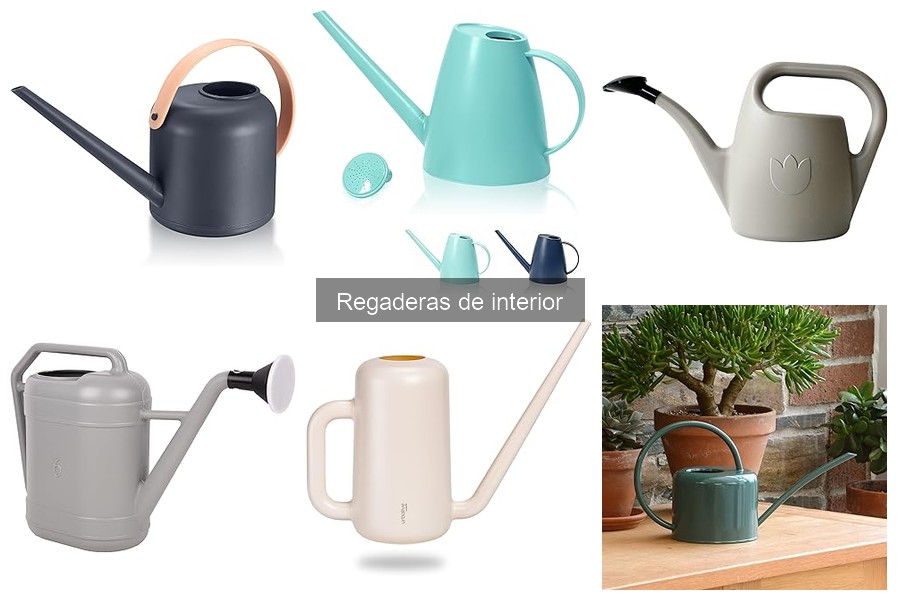 Beneficios de usar regaderas de interior adecuadas para tus plantas