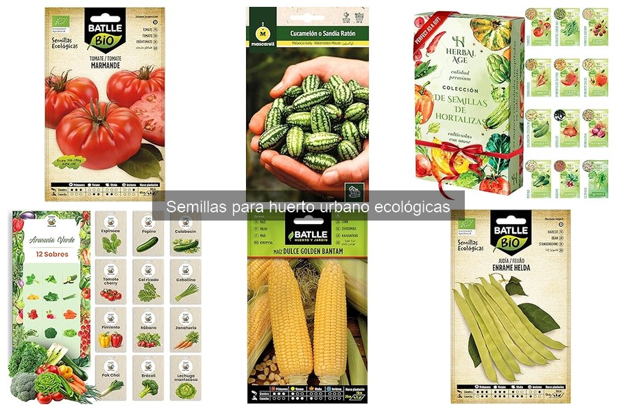 Beneficios de usar semillas ecológicas en tu huerto urbano