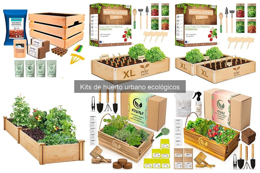 Beneficios de usar un kit de huerto urbano ecológico