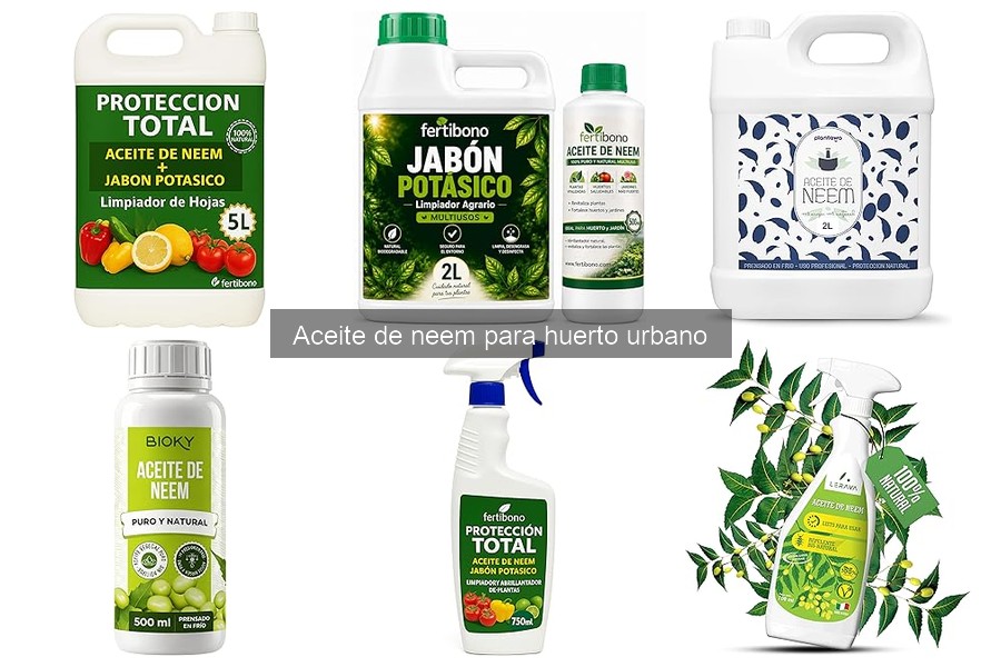 Beneficios del aceite de neem para plantas en huerto urbano