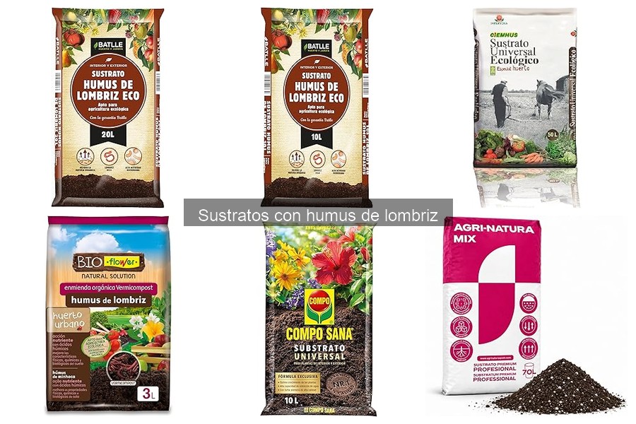 Cómo almacenar sustrato con humus de lombriz correctamente