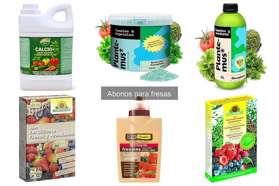 Cómo aplicar abono a fresas de manera efectiva