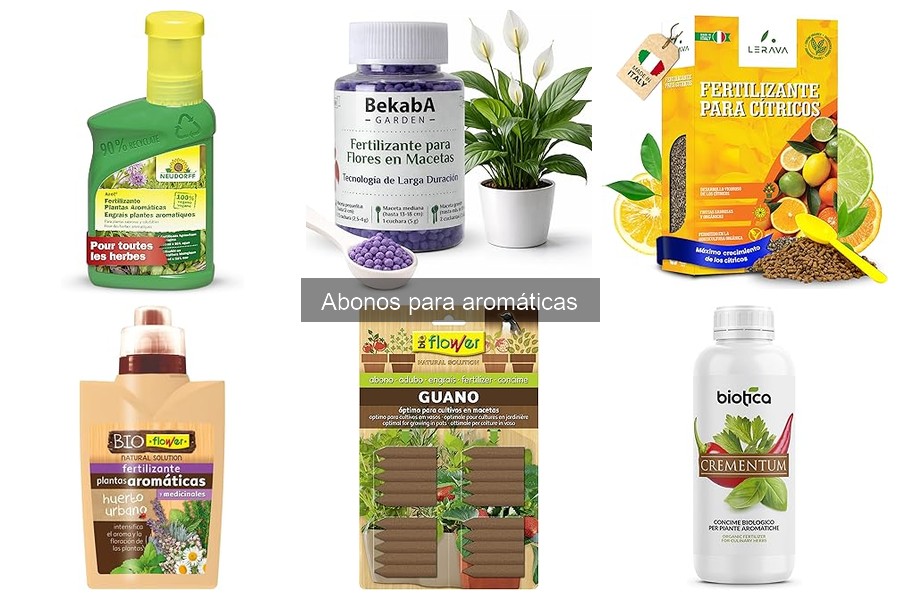 Cómo aplicar abono a plantas aromáticas de manera efectiva