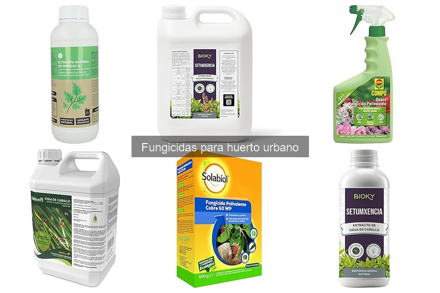 Cómo aplicar fungicidas en tu huerto urbano correctamente