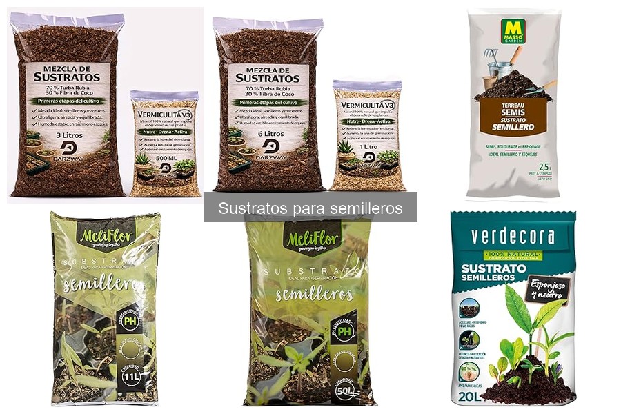 Cómo conservar la humedad en sustratos para semilleros