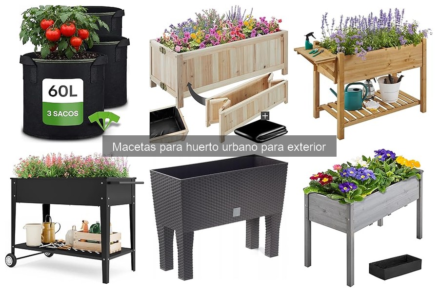 Cómo cuidar y mantener tus macetas para huerto urbano