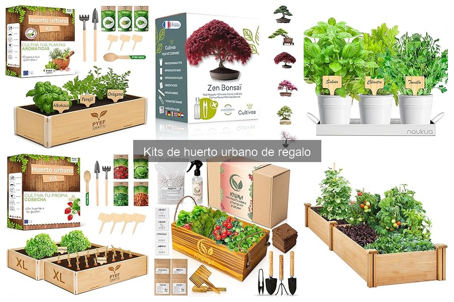Cómo Cultivar Con Éxito Usando un Kit de Huerto Urbano
