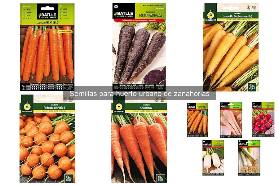 Cómo cultivar zanahorias en casa: guía paso a paso