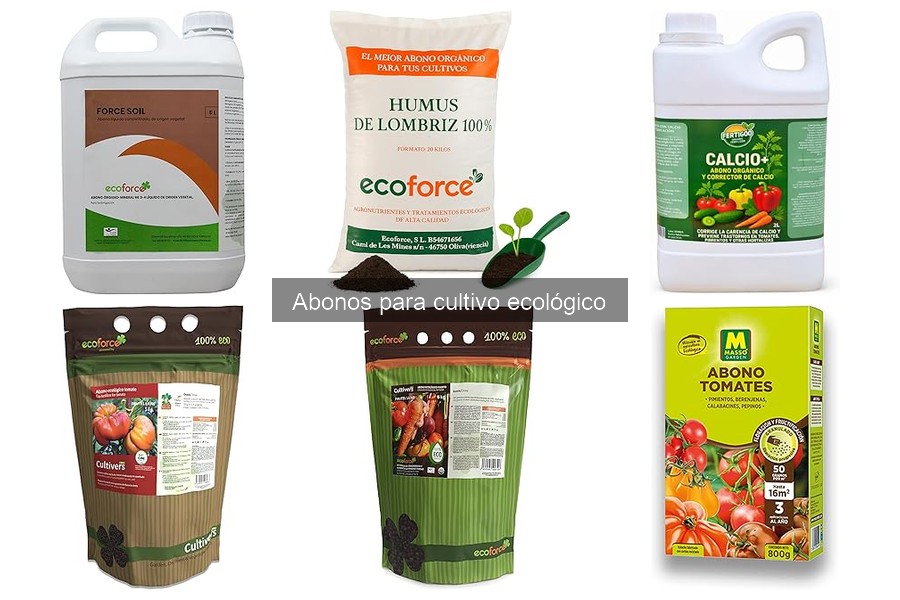 Cómo elegir el mejor abono ecológico para tu huerto